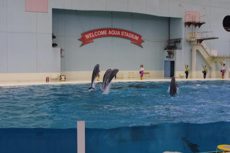 �K���q���v�]��� �Show