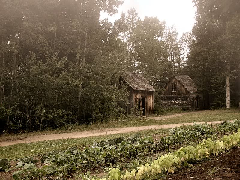 Behind the vegetable Garden...