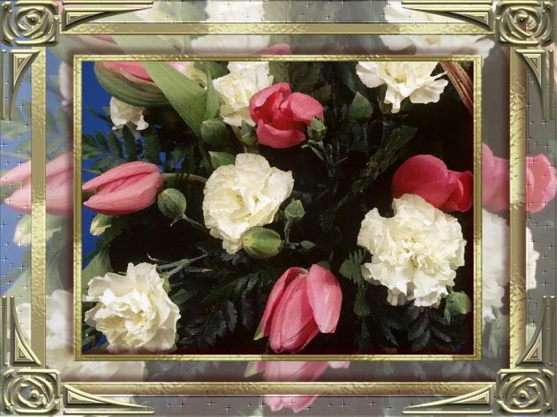 carnations and tulips