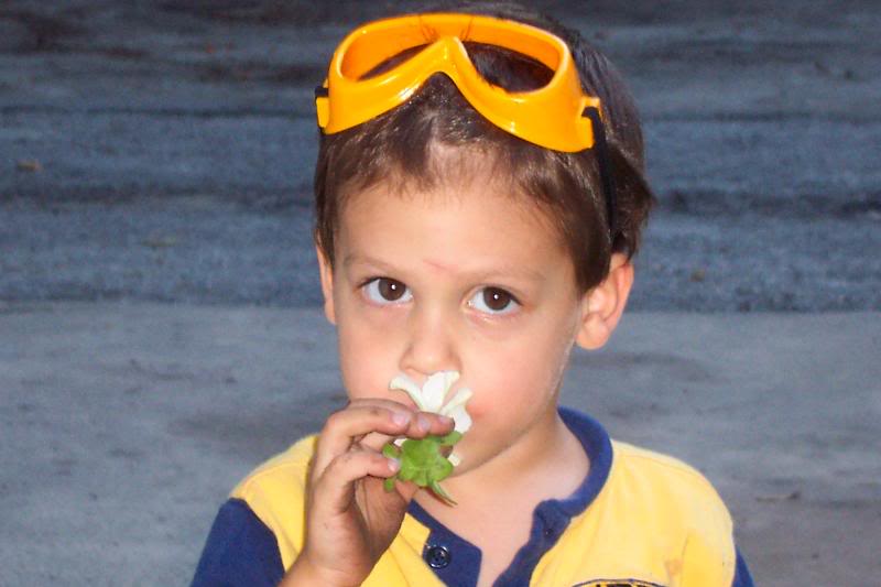 AJ STOP AND SMELL THE FLOWER'S