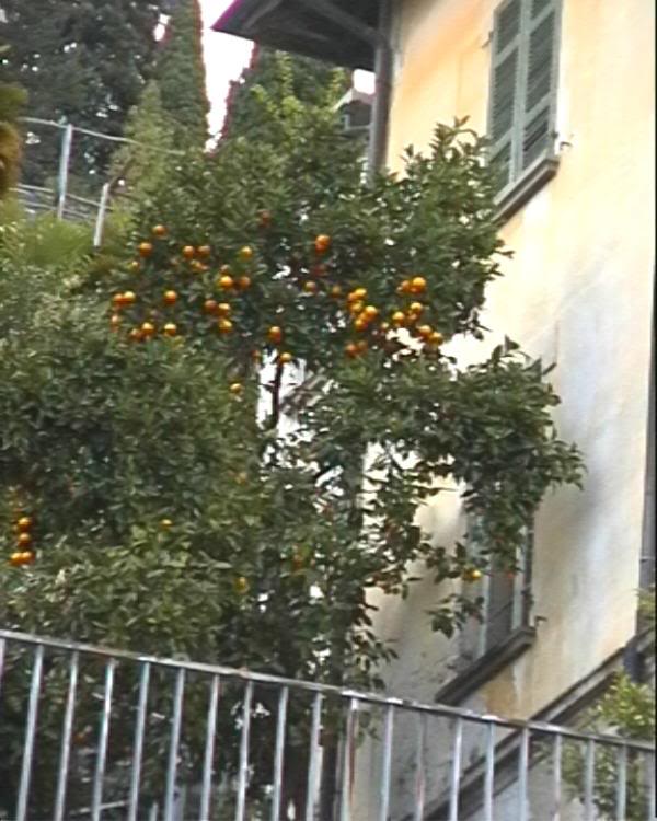 Arancio, Porto Ronco.