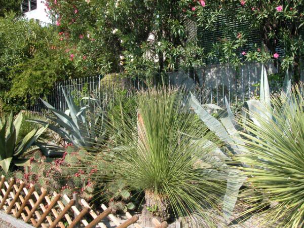 Lungolago, Brissago.