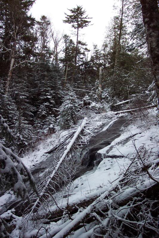 Dangerously Beautiful