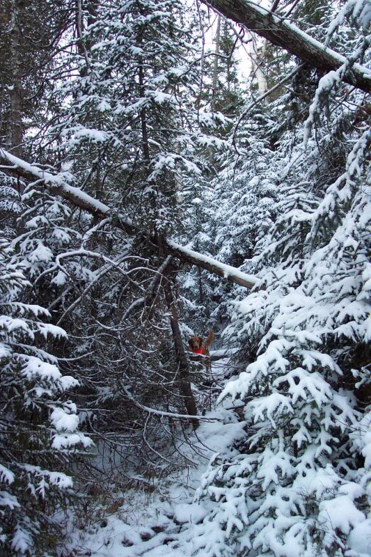 Lots Of Snow In The Lower Reaches