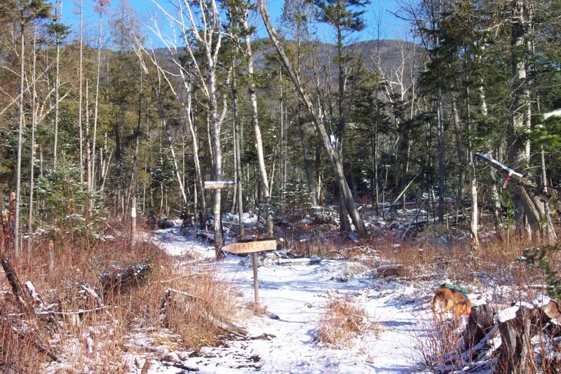 Marcy/Allen Trail Junction