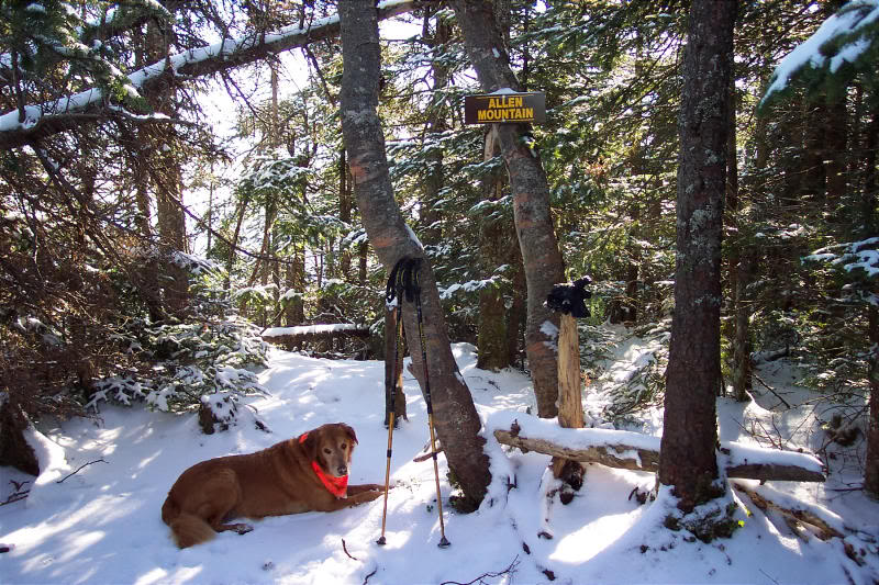 Yes I Made It To The Top