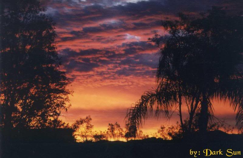 Sunrise from the Patio
