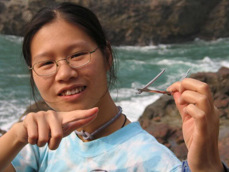 percy �������X