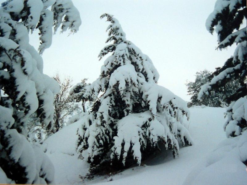 Snow in Kobayat