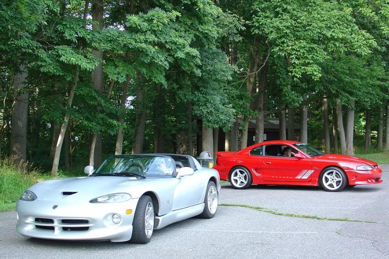 Viper and Saleen