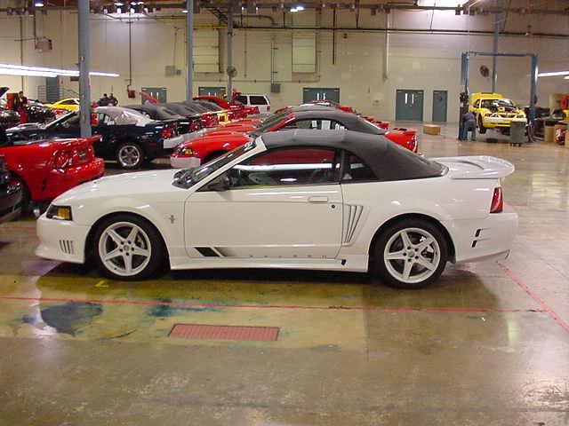White Saleen-E