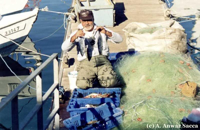 Arab Fisherman (Jaffa Port )