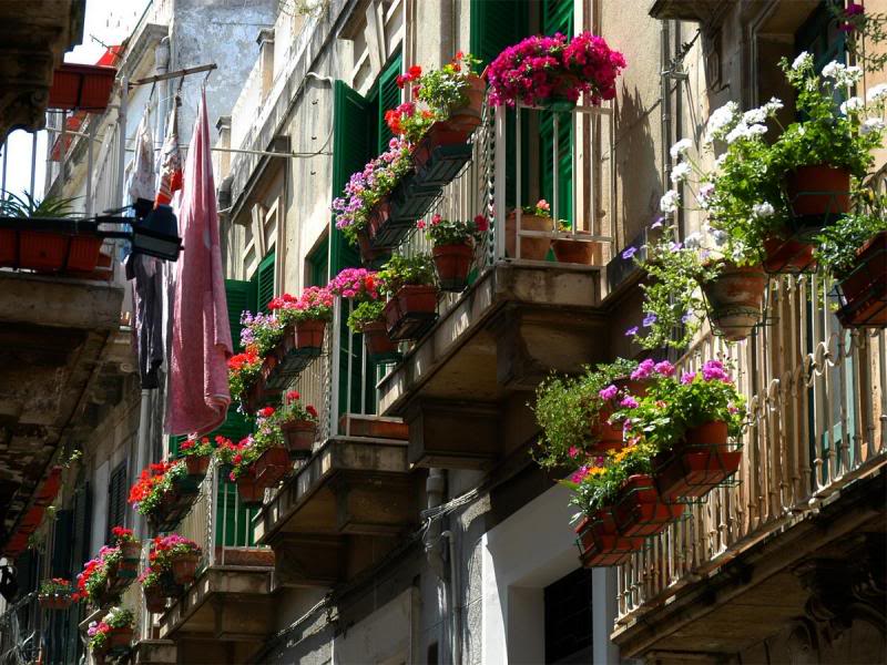 Mer terrasser med blomster