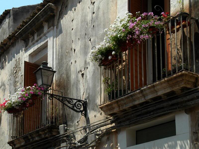 Terrasse med blomster