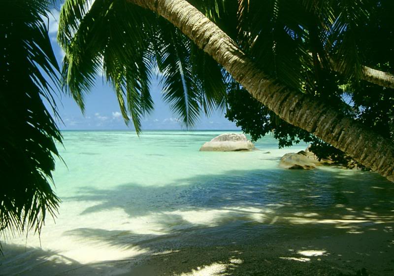 Seychelles - Anse Boileau, Mahe