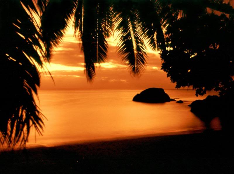 Seychelles - Sunset at Anse Boileau, Mahe