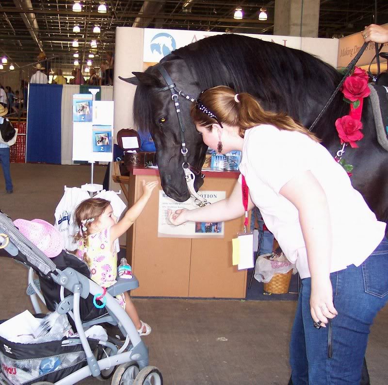 Cedar's Gentle Giant Spirit