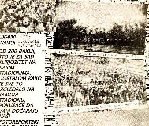 cao tifo 1991