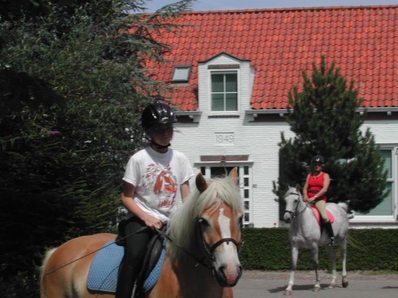 kim op kim de la montagne