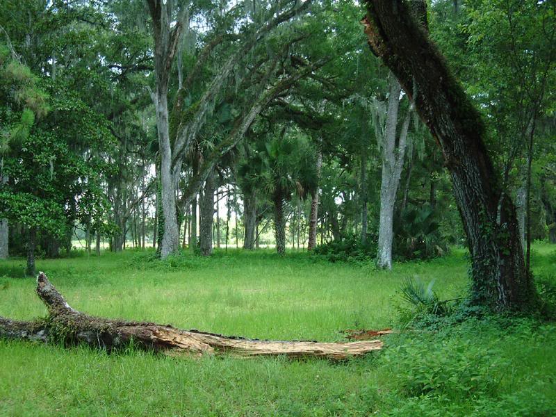 Dade Memorial Park, Florida