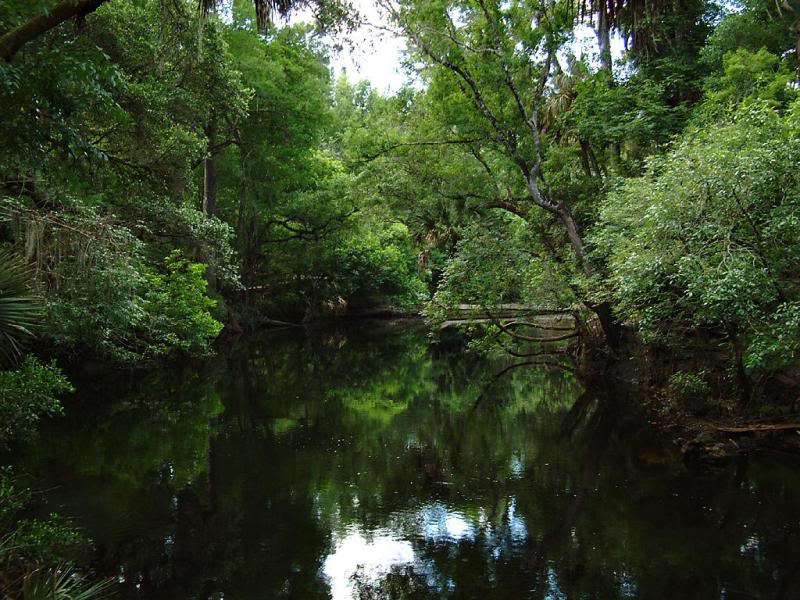 Hidden Florida, Hillsborough River State Park