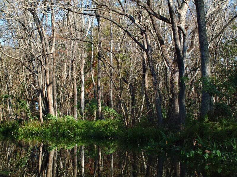 Saddle Creek, Lakeland, Florida