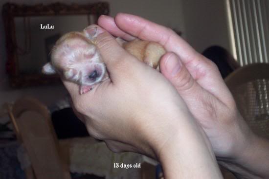 I'm growing so fast.