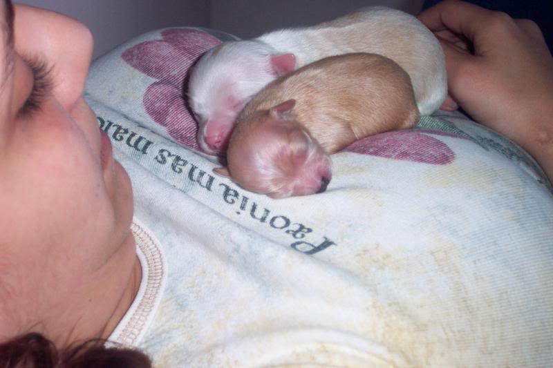 My favorite sleeping place...