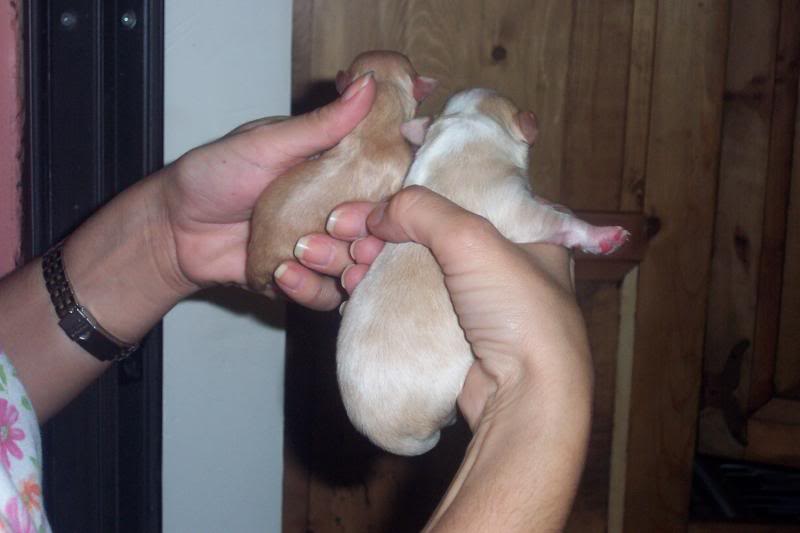 What a size difference?