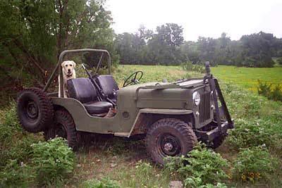 14743327kwyjxry wwm_ph