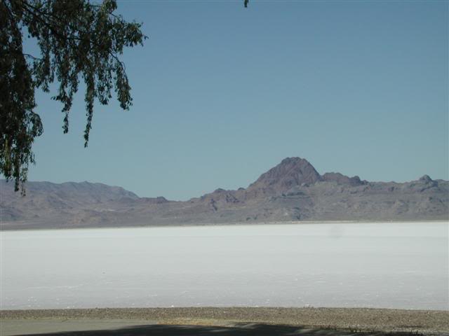 It looks like snow, doesn't it??