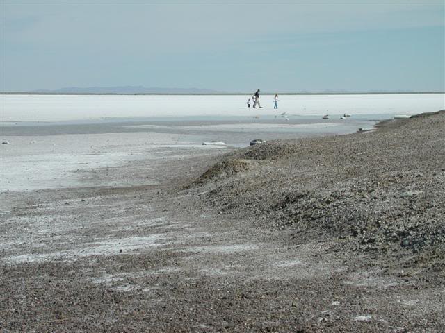 People walking on salt water (crust)