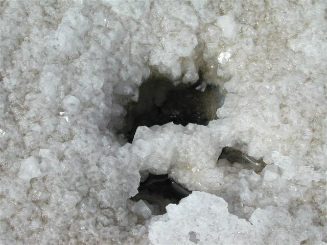 Salt Crust Close-Up