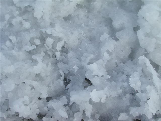 Salt Crystals