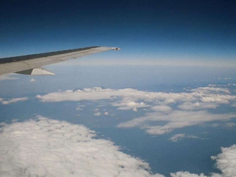 008.���O�O�W