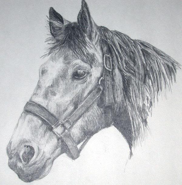 Tank - Pencil Drawing by Rachel F.