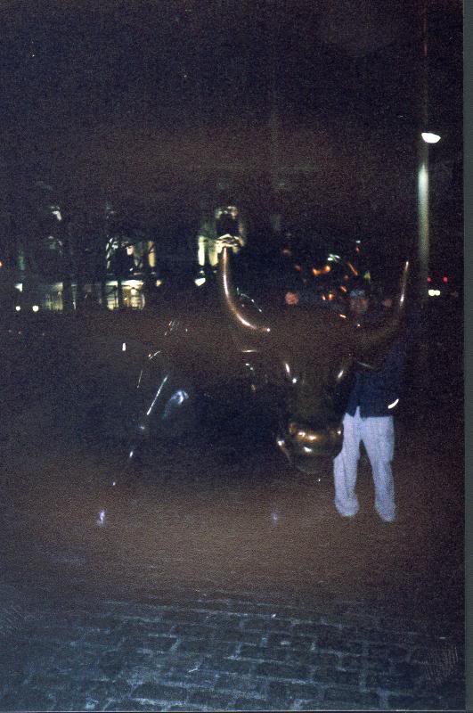 Me and the Merryl Lynch bull statue in Lower Manhattan