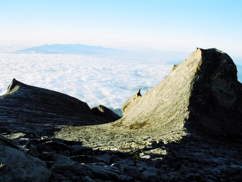 106. �t�����p�P�n�p