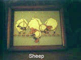 Sheep-1989