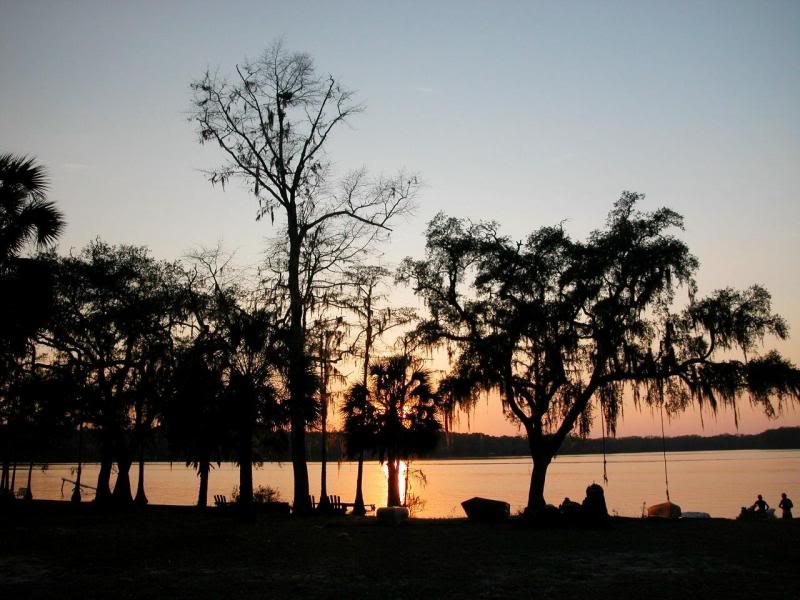 Florida Cracker Horse Association
