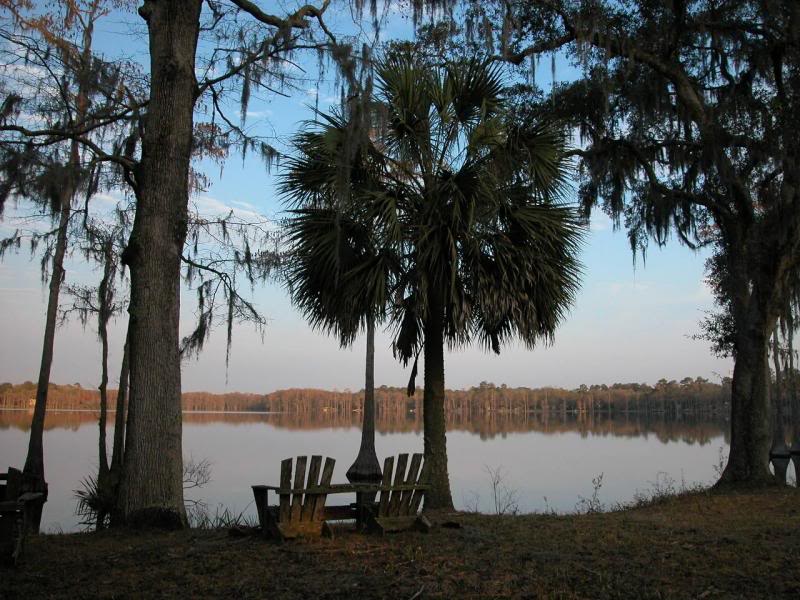 The Levy's Front Yard
