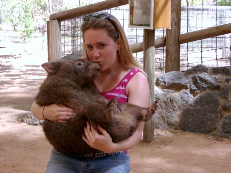 wombat kiss