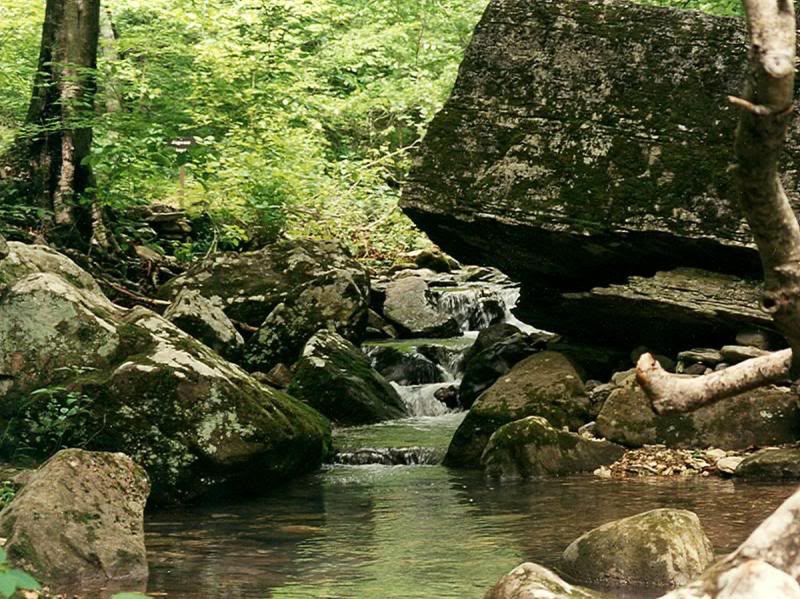 The trail runs along Clark Creek.