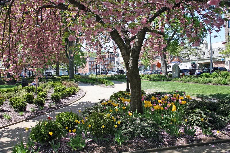 A view from the Green in Morristown, NJ