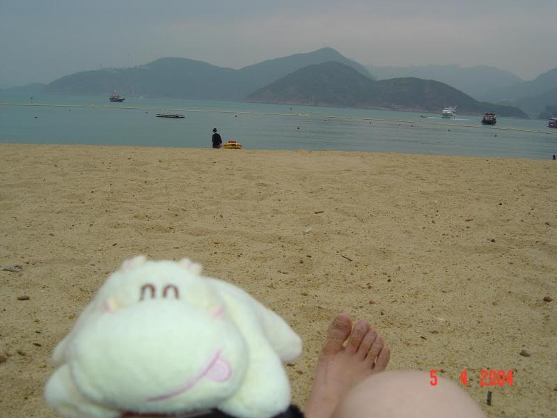 It's the first time for Hippo to visit South Bay ...