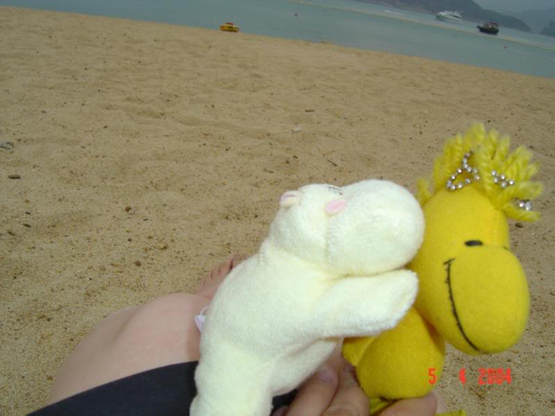 ... hey don't be too aggressive, Hippo!