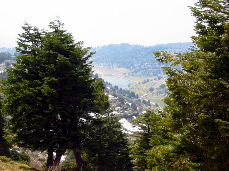 A View From Above To The Plaine & Lake Of Kamoua