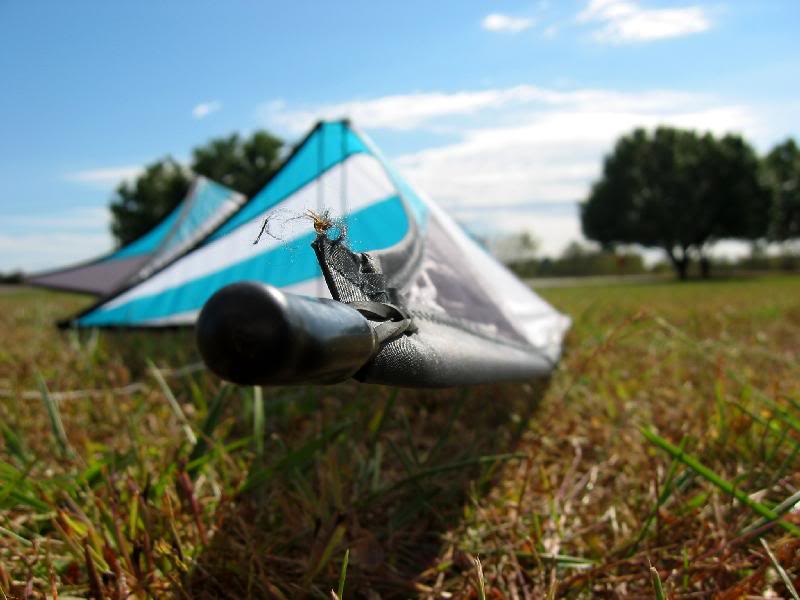 Hey! It's not nice to point!!