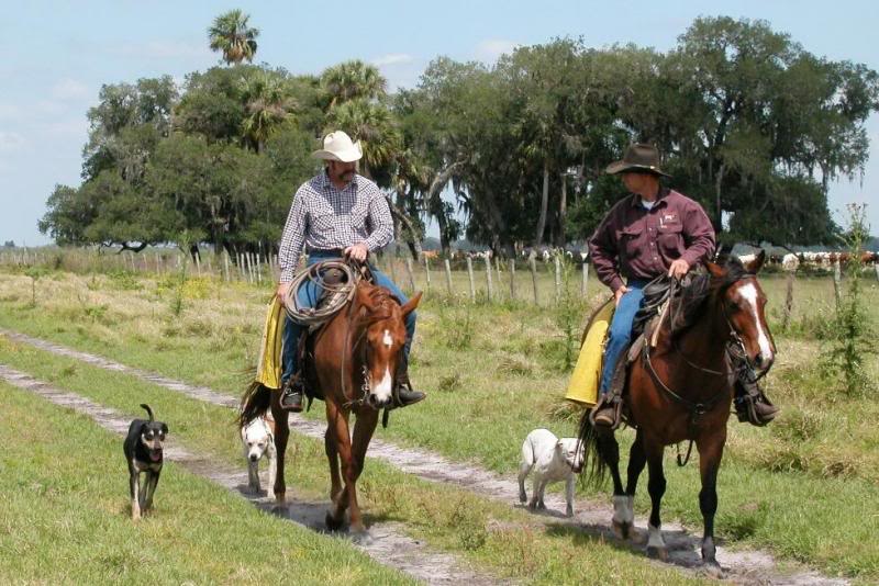 Gary Larson, Darrell Hazellief, their working cow horse...