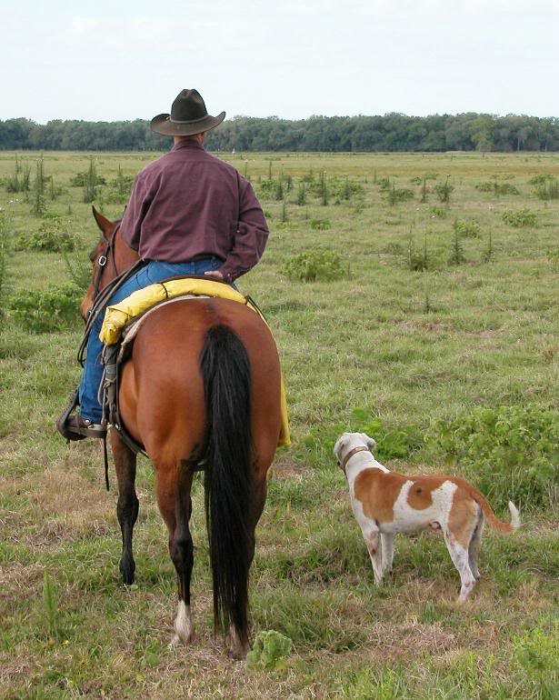 Man, horse, and FLORIDA CUR, a working cowdog